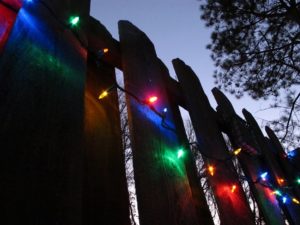 mini lights can give some warmth to covered cool season vegetables 