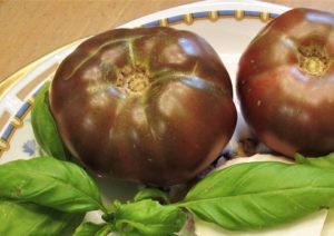 ingredients for tomato basil salad, cherokee purple tomato