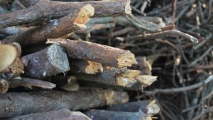 Wood Pieces Wooden Pile Firewood - normanyucheng / Pixabay