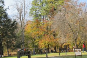 Mabry Mill grounds