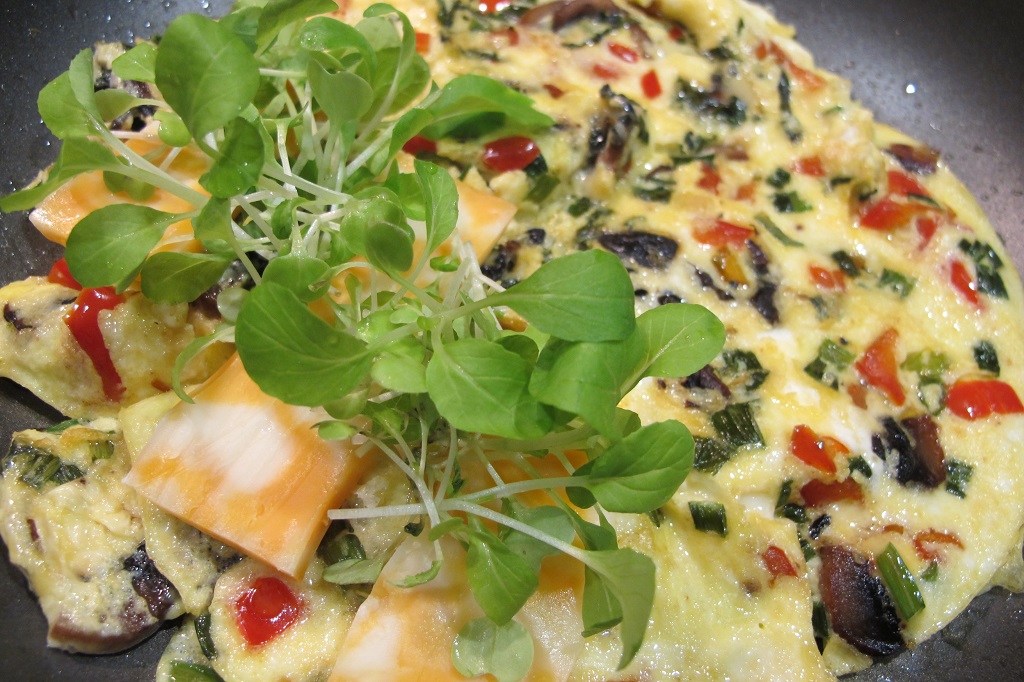 veggie omelet with greens and microgreens
