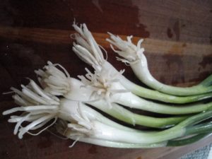 whole bunching onions