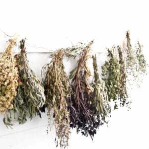 herb gardens, drying herbs in bunches