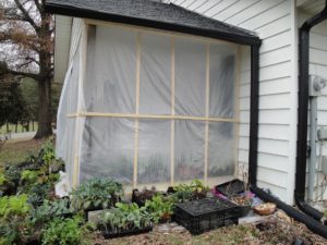 enclosing the porch, east side